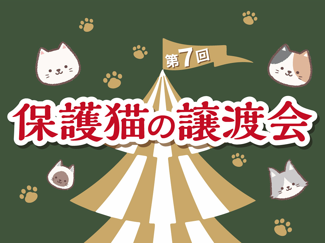 保護猫の譲渡会サムネイル