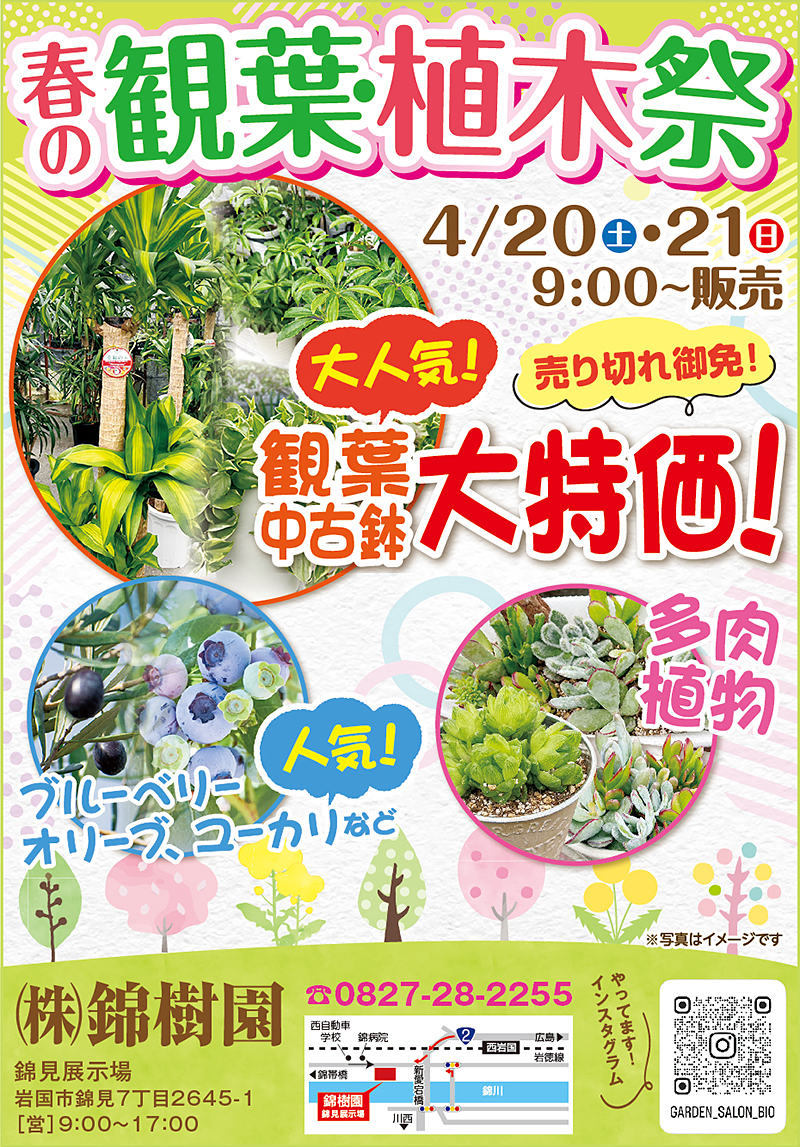 錦樹園観葉・植木祭